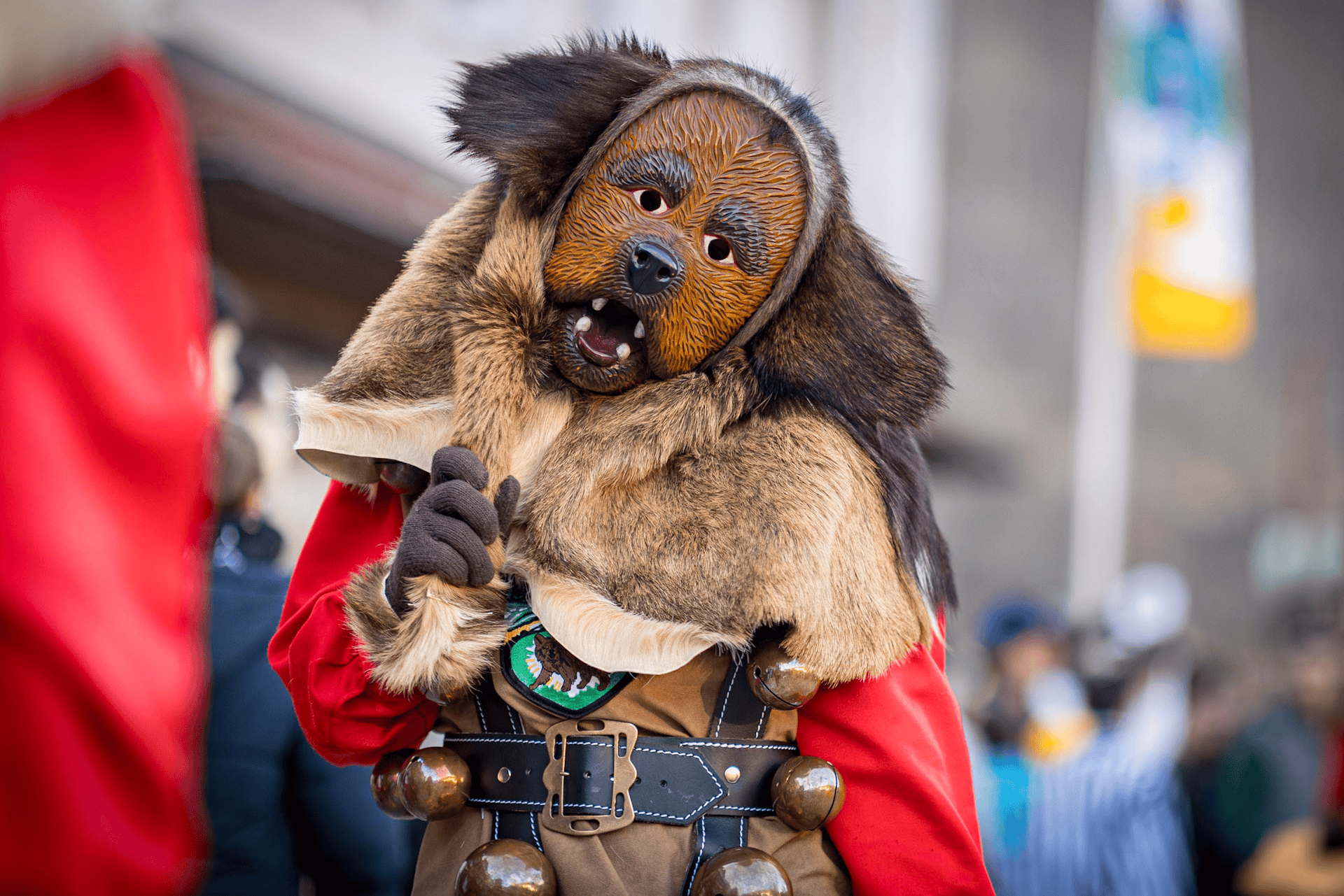 Schäfchengesicht-maskerade-hund-karneval-osterfest.